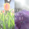 Spring with Nikon Df