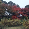 古本屋活用術