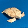 彩雲紙「大理石」でアカウミガメを折る。