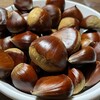 🌰栗の初収穫と🍠サツマイモの試し掘り