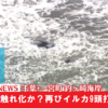 房総半島でイルカ変死が大地震の前兆か！武蔵野学院大学特任教授の見解が公表