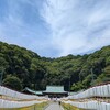 お庭にアゲハ蝶とツクツクボウシ
