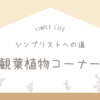 シンプリストへの道｜観葉植物コーナーで彩りを作る！オススメ植物も