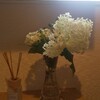 お庭のお花
