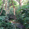 東池（東京都渋谷）