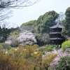 ホテル椿山荘東京　庭園【訪問編】