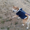 旅締め
