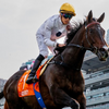 香港の歴史的名馬ゴールデンシックスティ(金鎗六十Golden Sixty)が引退へ