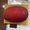 孤独のメッセージ