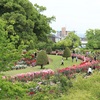 【RSKバラ園】_岡山県岡山市