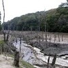 海上の森へ行ってきました。