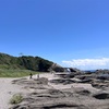 2026年5月14日🐾 今日のマヤ暦