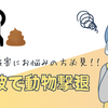猫のフンから庭や家庭菜園を守る！害獣対策の新たな救世主✨『超音波動物撃退器』購入レビュー