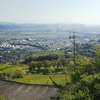 茶畑と桜と富士山と栄西禅師…