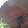 オートモアの掃除