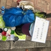 長居ぐるぐる①それを言っちゃ～おしまいよ。。。本気の本気だぞ！