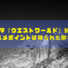 海外ドラマ『ウエストワールド』が面白い！オススメポイントは練られた脚本！！