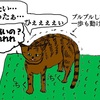 人工芝のマットが痛かった猫
