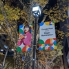 Pixel4とiPhone11Proを持って「Google Pixel presents 表参道マジックイルミネーション 2019」に行ってきた！