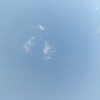宣言しちゃおう…自伝的小説執筆開始！