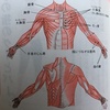 【きくち体操】手・腕を意識して動かす！脳を刺激して活性化させる体操