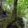 秋に入る梶ヶ森遊山　万緑林