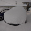 大雪警報・顕著な大雪に関する情報