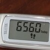 テニスラウンジ宝塚 6人 , 8,822歩 , 火-C , 坂t*