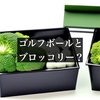 こんにちは、ゴルフ好きの皆さん（半分AIが書いてます）
