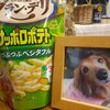 あ～ちゃんお供え