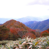 紅葉時期にしか登らない小五郎山へ