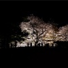 夜桜を観る(金沢城から兼六園、4月9日)