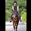 セントウルステークス “アーサー王伝説”の始まりだ！堂々の秋始動 「競馬レース結果ハイライト」2016年≪競馬場の達人,競馬予想≫