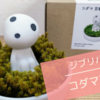 【ジブリパーク】「もののけ姫コダマ苔観賞」に癒やされる！無料エリアで買えるグッズ！