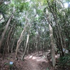 山行記　右田ヶ岳　直登（谷）ルート→塚原ルート