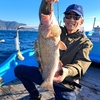 11/03（日）南伊勢の五ケ所湾のティップランの釣果速報