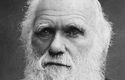 『種の起源』 ダーウィンの進化論