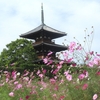 ２０２４年  秋の風景 ⑦