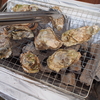 昭和記念公園のかき小屋で牡蠣をたらふく食べてきた！