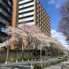 姿勢と治療