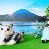 2月22日　猫の日　2月23日　富士山の日