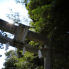 氷川神社