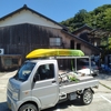 オトナの海水浴