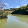 桂池（兵庫県淡路）