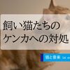 飼い猫たちのケンカへの対処