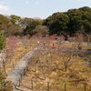 長岡公園旧管理棟の開放