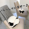 猫と映画鑑賞！映画レビュー！