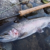 他人の釣っている魚は大きく見える。