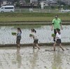 ５年生　田植え体験