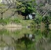 勝俣部長の「ため息」４７３２回････言い回し